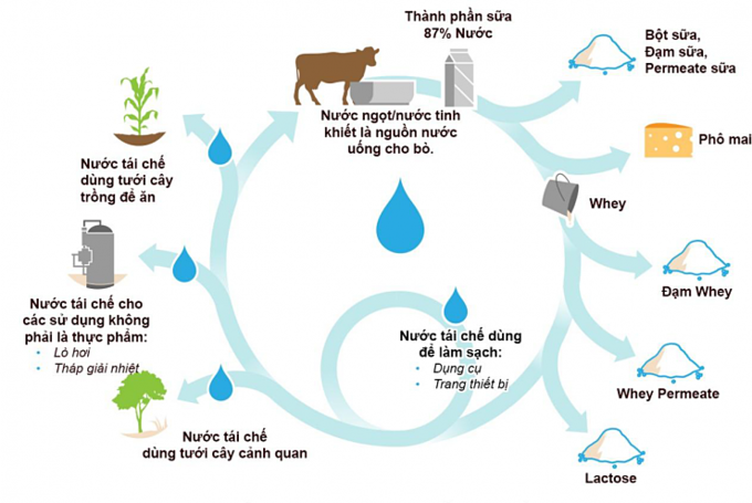 Ngành bơ sữa Mỹ bảo vệ môi trường trong quá trình sản xuất